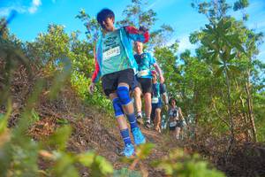 BIB: 2329
                            <button type="button" onclick="openModal(21843285)" class="btn btn-primary btn-sm float-right btn-popup" data-toggle="modal" data-target=".modal-high-quality">
                        <i class="fas fa-shopping-cart"></i> Add to Cart
                    </button>
                                            <button type="button" onclick="isThisMe(21843285, true)" class="btn btn-success btn-sm float-right btn-popup btn-isme hidden" data-toggle="tooltip" data-placement="bottom" title="นี่คือรูปของคุณใช่ไหม คลิกที่นี่เพื่อเอาเข้าอัลบั้ม">
                        <i class="fas fa-plus"></i> Add to album
                    </button>
                    <button type="button" onclick="isThisMe(21843285, false)" class="btn btn-warning btn-sm float-right btn-popup btn-isnotme hidden">
                        <i class="fas fa-ban"></i> Remove from album
                    </button>